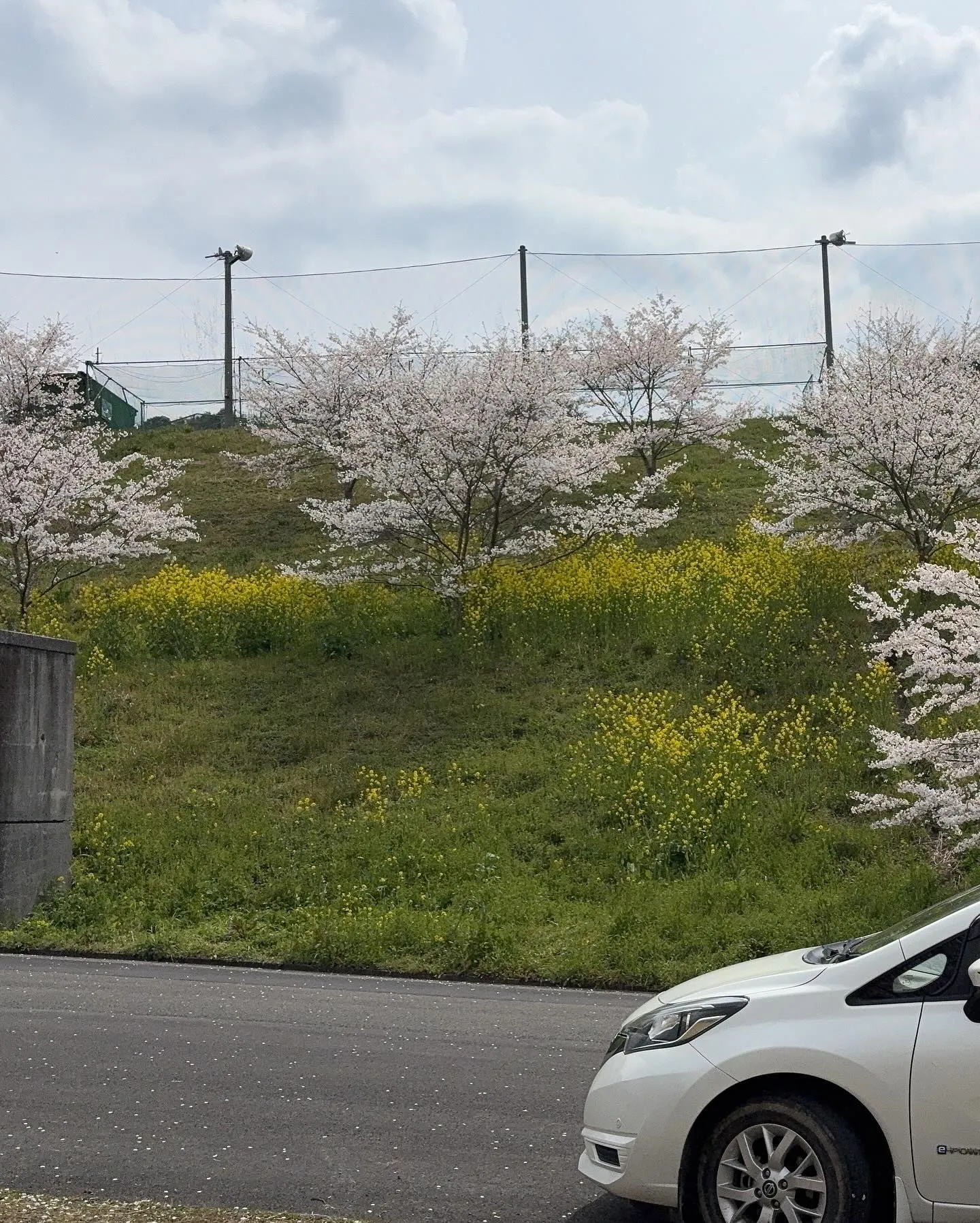 【宇和島市リフォーム】 愛媛リフォームの本が3月31日に発刊...