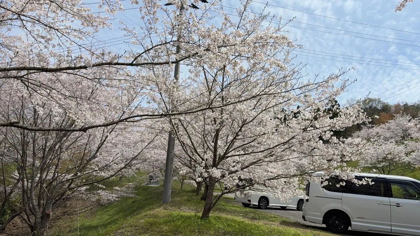 【宇和島市リフォーム🏡】